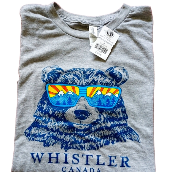 Whistler Other - Whistler Reflect Mountain Bear T-Shirt Youth Men Heather/Grey Medium